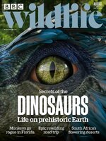 BBC Wildlife Magazine